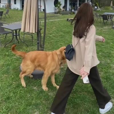 当家主母